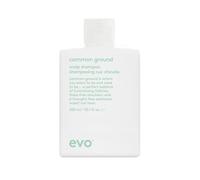 Evo Common Ground Scalp Shampoo for Dry, Flaky & Sensitive Scalp - Hydrates & Moisturises - 300 ml