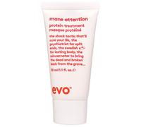 EVO Mane Attention Protein Treatment 150 ml