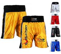 EVO Men Boxing Fight Shorts MMA Kick Boxing Martial Arts Gear Muay Thai UFC (UK, Alpha, L, Regular, Regular, Black)