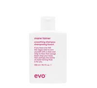Evo Smooth Mane Tamer Smoothing Shampoo 300ml - smoothing shampoo