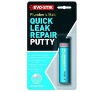Evo-Stik Putty 50G