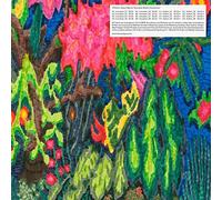 Evocative Rhythm Experience [VINYL]