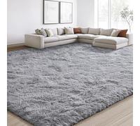 EVOIONOS 7x10 Washable Large Area Rug for Living Room, Fluffy Shag Rug for Bedroom, Ultra Soft Plush Non Slip Carpet for Indoor Floor Bedside Nursery Kids Girls Room Dorm, Home Decor Aesthetic, Grey