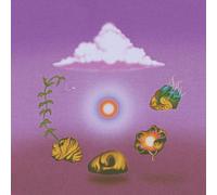 Evolfo – Site Out Of Mind – CD – US Import