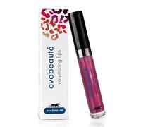 evolips Volumizing Lips Sugar Plum - (1 x 5 ml)