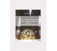 Evolución y perspectivas de las pequeñas y medianas empresas (PYMES) en la etapa neoliberal Mexicana