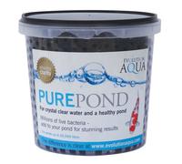 Evolution Aqua Pure Pond 1000Ml - Pond Treatment