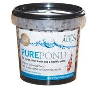 Evolution Aqua Pure Pond Gel Ball 1000ml (1 Litre)