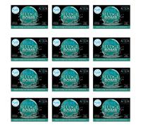 Evolution Aqua Pure Pond Sludge Bomb Beneficial Bacteria 12 Pack