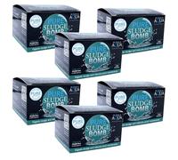 Evolution Aqua Pure Sludge Bomb Pond Treatment - Sludge & Organic Waste Digester with Beneficial Bacteria & Enzymes - Improves Water Quality - For Ponds up to 20,000 Litres Pack of 6