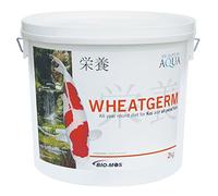 Evolution Aqua Wheatgerm - 2 Kgs - Medium Pellet - 5-6Mm