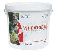 Evolution Aqua Wheatgerm - 6 Kgs - Medium Pellet - 5-6Mm
