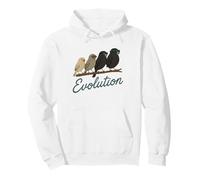 Evolution - Darwin’s Finches in Shades Pullover Hoodie