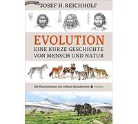 Evolution: Eine kurze Geschichte von Mensch und, Reichholf, Brandstetter.