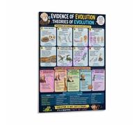 Evolution Evidence Poster Vestigial Structures Embryology Chart | Shows tailbones wisdom teeth and gill slits as remnants of ancestral species(Unframed,08x12inch(20x30cm))
