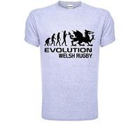 Evolution of Welsh Rugby Adult/Mens T-Shirt Unisex Medium Grey