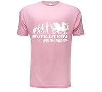 Evolution of Welsh Rugby Adult/Mens T-Shirt Unisex Medium Pink