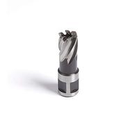 Evolution 19S Short Broaching Cutter 19Mm