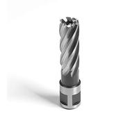 Evolution 17L Long Broaching Cutter 17Mm