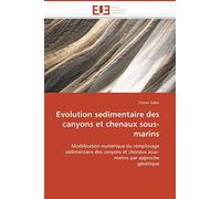 Evolution sedimentaire des canyons et chenaux sous-marins: Modélisation numérique du remplissage sédimentaire des canyons et chenaux sous-marins par approche génétique (Omn.Univ.Europ.)