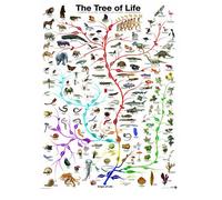 Eg60000282 - Eurographics Puzzle 1000 Pc - the Tree of Life