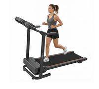 Evolve B1 Treadmills for Home Foldable with Incline & Handle - Running Treadmill for Home, Bluetooth Walking Pad Treadmill, Fold Up Treadmill with Hand Rail, Compact Walking Pad Incline Treadmill