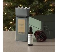 Evolve Organic Beauty Evolve Bright Eyes Christmas Cracker(eye serum)
