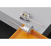 Evolved by Prolox Rim Cylinder Lock - British Standard 1-Star Certified, Sold Secure Gold Rated - High-Security 3-Key Door Lock - 10-Year Warranty - Brass or Satin Nickel Finish (Polished Brass)