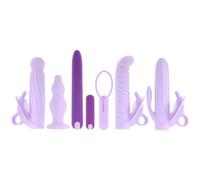 Evolved Lilac Desires 7 Piece Butterfly Vibrator Kit Anal Plug USB Sex Toy Set