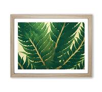 Evolving Fern Leaf Framed Print | A2 Oak Framed Wall Art | Ready to Hang | Modern Floral Picture | Living Room Bedroom Lounge Office
