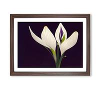 Evolving Flower Framed Print | A4 Walnut Framed Wall Art | Ready to Hang | Modern Floral Picture | Living Room Bedroom Lounge Office
