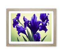 Evolving Iris Flowers Framed Print | A3 Oak Framed Wall Art | Ready to Hang | Modern Floral Picture | Living Room Bedroom Lounge Office