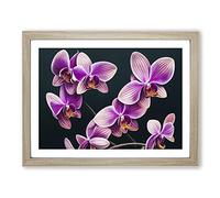 Evolving Orchid Flowers H1022 Framed Print for Living Room Bedroom Home Office Décor, Wall Art Picture Ready to Hang, Oak A3 Frame (46 x 34 cm)
