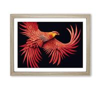 Evolving Phoenix Bird BLK Framed Print | A2 Oak Framed Wall Art | Ready to Hang | Modern Nature Picture | Living Room Bedroom Lounge Office