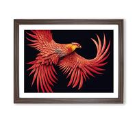 Evolving Phoenix Bird BLK Framed Print | A2 Walnut Framed Wall Art | Ready to Hang | Modern Nature Picture | Living Room Bedroom Lounge Office