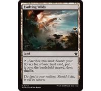 Evolving Wilds (Foil) | Foundations