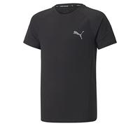 Evostripe Tee B Puma Black