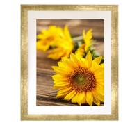 EVQUIT 14x17 Wall Picture frame with 11x14 mat, Gold Gallery Photo Frame for Horizontal or Vertical Display