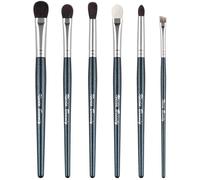 EVRCHGIEA Natural Goat Hair Eye Makeup Brush Set, 6 Pcs Professional Blending Eyeshadow Makeup Brushes for Concealer Eyebrows Eyeliner, Soft Hairs & Wood Handle… (blue 6pcs)