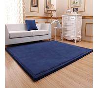 EVSER Large Area Rug, Coral Velvet Soft Baby Play Mat Thick Foam Mats Tummy Time Floor Area Rug, Non-Slip Children Study Walking Crawling Mat for Nursery Living Room