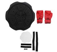 EVTSCAN Smart Boxing Target Bluetooth Wall Mounted Electronic Music Boxing Machine with Gloves for Kids Adults for Sports Fitness Boxing Training