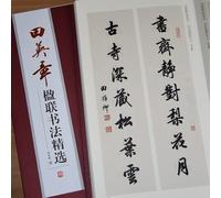 EVWGNPQRV Chinese Calligraphy Heart Sutra Poetry Posters, Chinese Brush Calligraphy Copybook Running Script Character Practice Multicolor 28 x 37 cm(C)