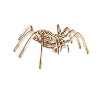 EWA Spider Top-Grade Plywood 3D Mechanical Model Construction Kit. Pre-Cut Design. DIY Assembly. 293 Pieces. Complexity level 4 out of 5. Suitable for 14+ Years., natural