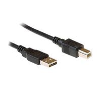 ewent USB Cable USB A Male USB-B Male 3 m Black