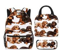 ewndhtse School Backpack Set with Lunch Bag Pencil Case, 3 Pcs School Bookbags Set Travel Rucksack Casual Daypack for Teens Girls Boys Primary Junior Middle - Wiener Dachshund Dogs