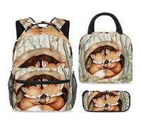 ewndhtse School Backpack Set with Lunch Bag Pencil Case, 3 Pcs School Bookbags Set Travel Rucksack Casual Daypack for Teens Girls Boys Primary Junior Middle - Foxes Sleeping on Cave