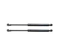 EWQPHLS Supporting Struts Compatible for Nissan Murano 2011 2012 2013 2014 2015 2016 2017 2018 2Pcs Car Front Lift Shocks Springs Damper