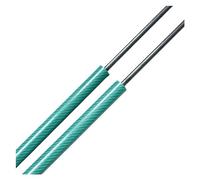 EWQPHLS Trunk Support Rods Compatible for Fiat Stilo 192 3-door Hatchback 2000-2007 440MM Qty 2 Rear Tailgate Lift Shock Absorber with Spring(Green Carbon Fiber)
