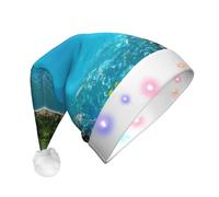EWQrtyy Underwater Coral Reef Seabed Adult Light-Up Christmas Santa Hat With Pom Poms, Soft Plush Xmas Hat With Colorful Lights
