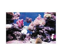 EWUHYFP Fish Tank Background PVC Fish Tank Decoration Poster Double Side 3D Background For Aquarium Ocean Plants Landscape Painting Sticker Decor Ornament(RED COLOR,50x80cm)